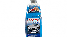 Auto a zima
