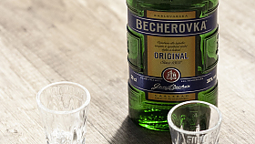 Alkohol za volantem, nehody, policejn� kontroly