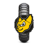 Pirelli Scorpion Rally STR M+S 130/70 -13 57P TL M+S