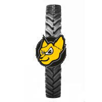 Firestone Performer PER -95 270/95 R38