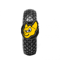 Deli Tire S310 4.00 -4 6PR TT