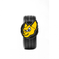 Deli Tire S368 16.5X6.50 -8 TL 8PR