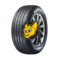 Aptany RU028 205/60 R16 96H XL