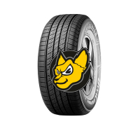 Evergreen ES380 255/65 R17 110H