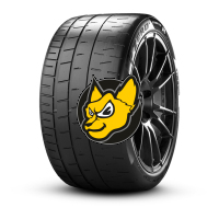 Pirelli Pzero Trofeo Race 235/35 ZR19 91Y XL N0