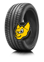 Sebring (MICHELIN) Road Performance 225/60 R16 98V