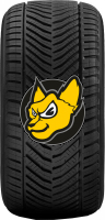 Kormoran ALL Season 205/55 R17 95V XL Celoron