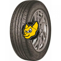 Tracmax X-privilo H/T RF10 215/60 R18 98H