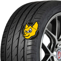 Delinte DH2 195/60 R15 88H