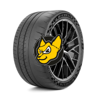 Michelin Pilot Sport CUP 2 R 315/35 R20 110Y XL (K1) [K1]