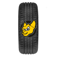 Fortuna Gowin VAN 195/75 R16C 110/108S