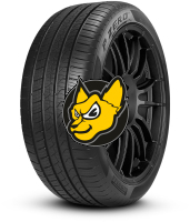 Pirelli P-zero ALL Season 245/45 R19 102Y XL bez Oznaen 3PMSF (ELECT) (LM1) (NCS) Celoron [LM1]