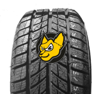 Doublestar DW09 Winterking 275/40 R20 106V XL M+S