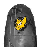 Shinko R-010 Apex 180/55ZR17 73W TL