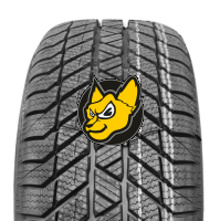 Platin RP-70-WINTER 165/65 R14 79T M+S