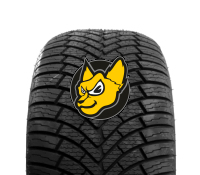 Double Coin Dasl Plus 195/75 R16C 107/105R Celoro�n� M+S
