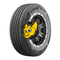 Goodyear Wrangler Territory HT 255/70 R17 112T M+S [OE Ford]