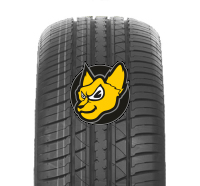 Double Coin DS66 HP 225/55 R19 99V