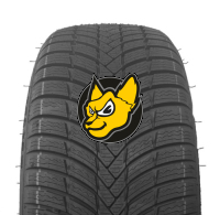 Triangle TW421 Effexwinter 225/55 R19 103V XL M+S