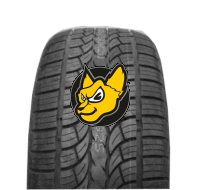 Neolin Neosport STX 305/40 R22 114V XL