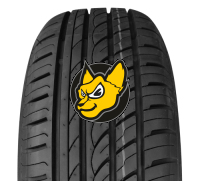 Double Coin DC99 205/55 R16 91V