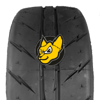 Rydanz Revimax R23 205/40 R17 84W XL Semi Slick