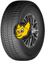 Momo Tires W30 VAN Pole 225/75 R16C 121/120H M+S
