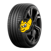 Michelin Pilot Sport EV 295/35R21 107Y