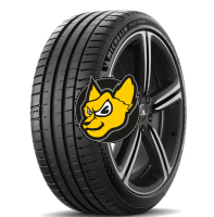 Michelin Pilot Sport 5 255/35 R19 96Y XL RG (*) [BMW]