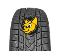 Gripmax Suregrip E Winter 205/65 R17 100V XL M+S