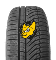 Falken AS220 PRO Euroall Season 225/35 R18 87W XL MFS Celoro�n� M+S