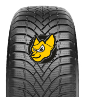 Austone Nixia Winter PRO 315/35R21 111V