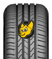 Aptany RP026 165/45 R16 74V XL