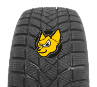 Mastersteel Winter Plus Is-w 195/60 R15 88H M+S