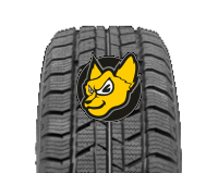 Delinte WD2 215/65 R16C 109/107T M+S