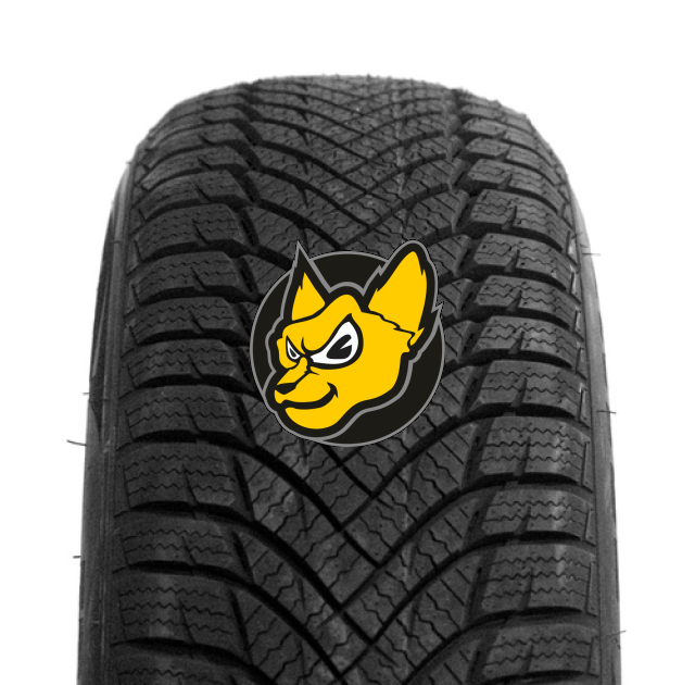 Minerva Frostrack HP 205/60 R16 92H