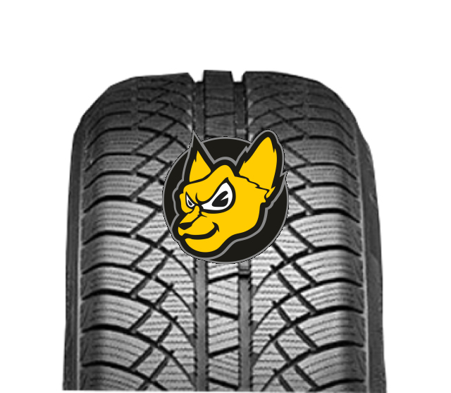 Sunny NW611 Wintermax 195/65 R15 91H