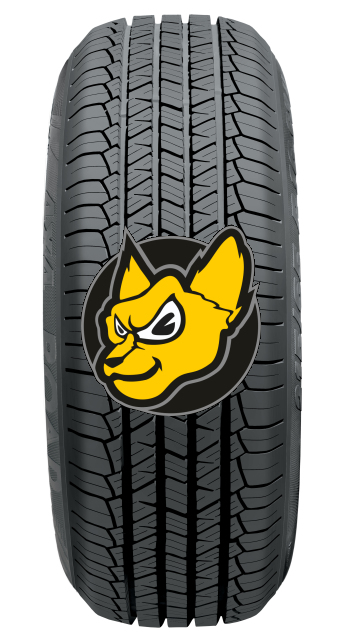 Sebring (MICHELIN) Formula 4X4 Road+ (701) 225/45 R19 96W XL M+S