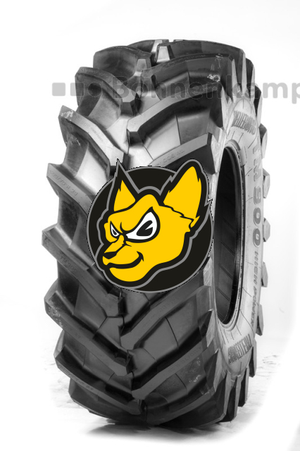 Trelleborg 600/70 R34 160D/157E TL TM 900 HP