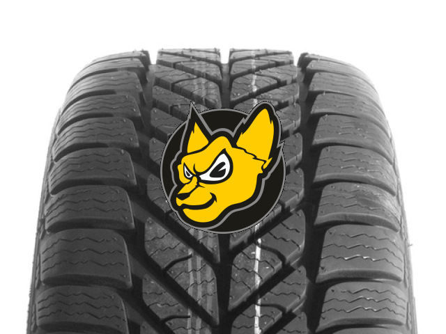 Diplomat Winter ST 165/70 R13 79T