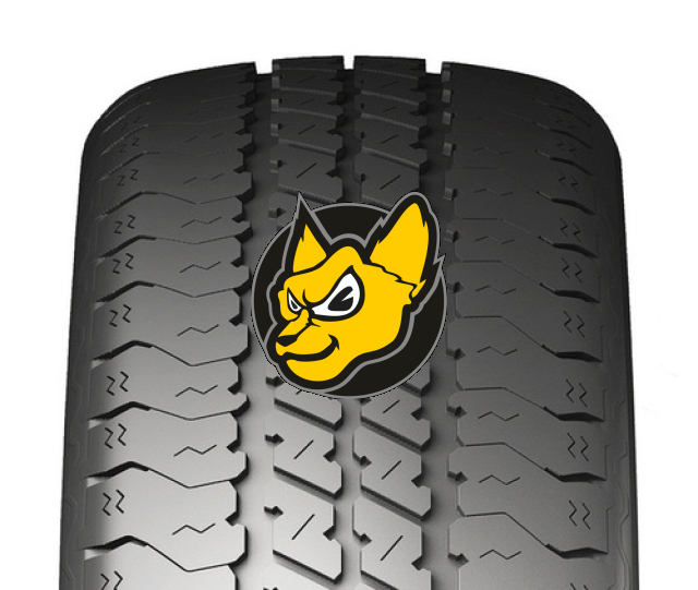 Nankang TR10 195/70 R14C 104/102N
