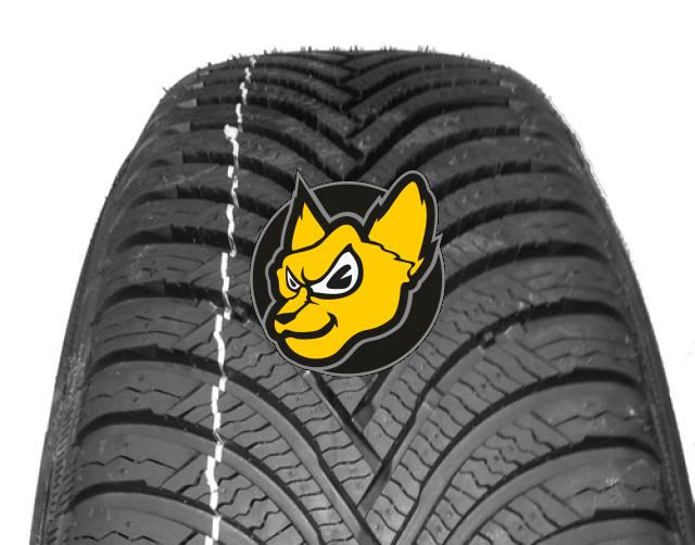 Michelin Alpin 5 295/30 R21 102V XL NA0