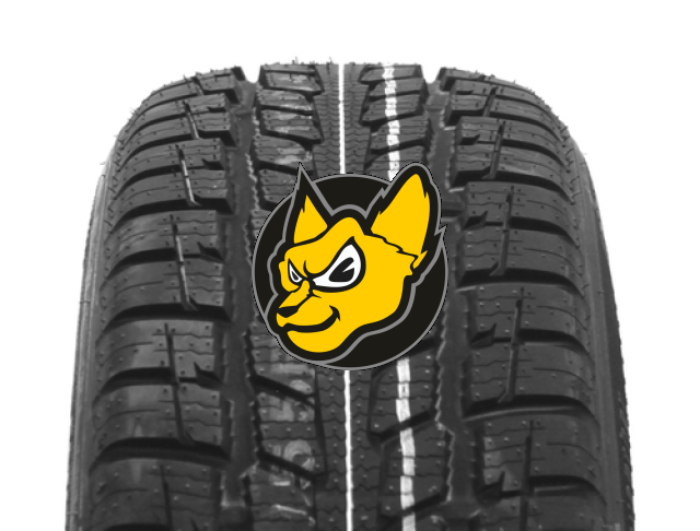 Roadstone N`priz 4S 225/45 R17 94V XL