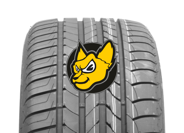 Goodyear Efficientgrip 255/45 R20 101Y Runflat (*)