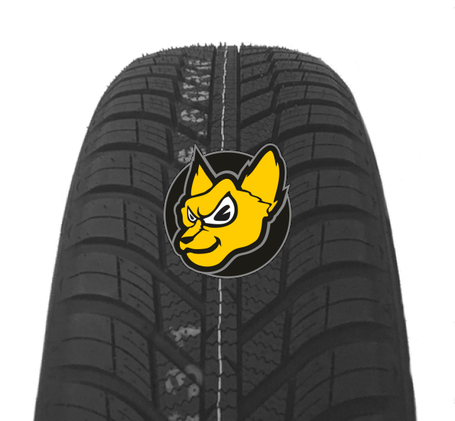 Nexen N`blue 4 Season 205/55 R16 91H - Celoroční pneu na auto