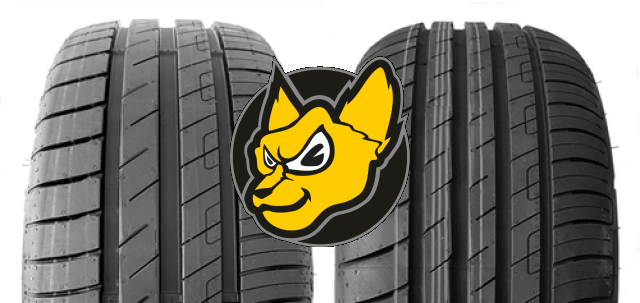 Goodyear Efficientgrip Performance 205/55 R17 91V SK [�koda]