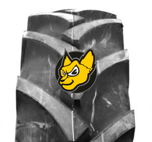 Alliance 324 6.00 -16 8 PR TT