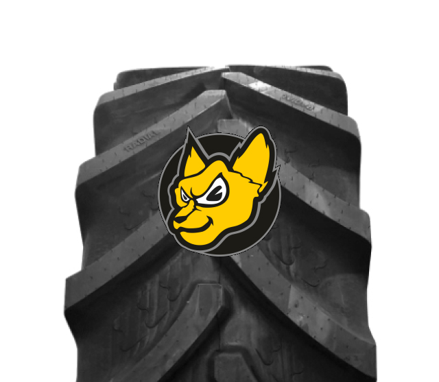 BKT Agrimax Fortis 600/70 R34 /160D TL