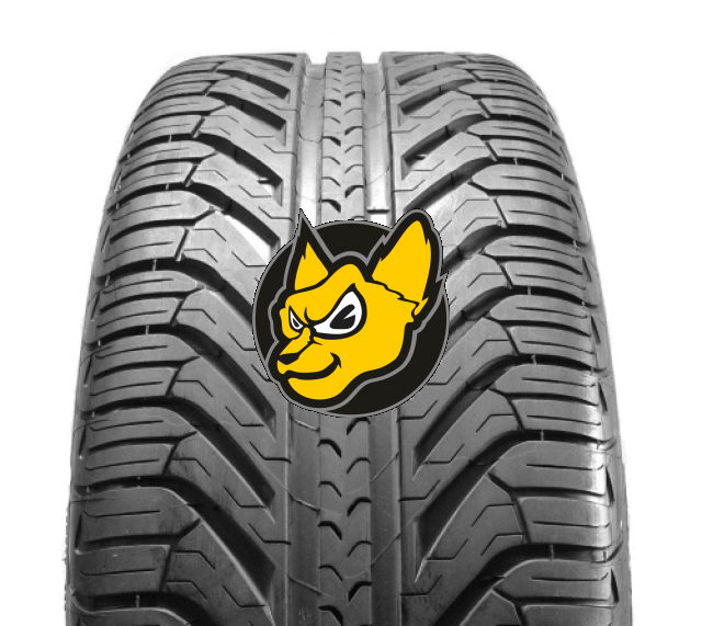 Michelin Pilot Sport A/S Plus 255/45 R19 100V N1 [Porsche] M+S