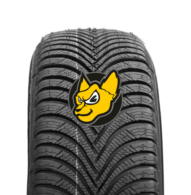 Michelin Alpin 5 225/45 R17 91V ZP Runflat M+S